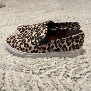 Steve Madden Chettah sneakers